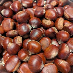 Chestnut (Bare root)